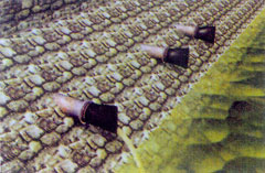 ���mʽ���z����ֹ���y