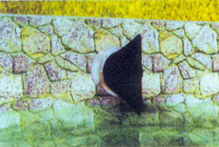 ���mʽ���z����ֹ���y